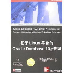 對(duì)日軟件外包服務(wù) 技術(shù)挑戰(zhàn)、市場(chǎng)機(jī)遇與成功之道